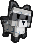 raccoon